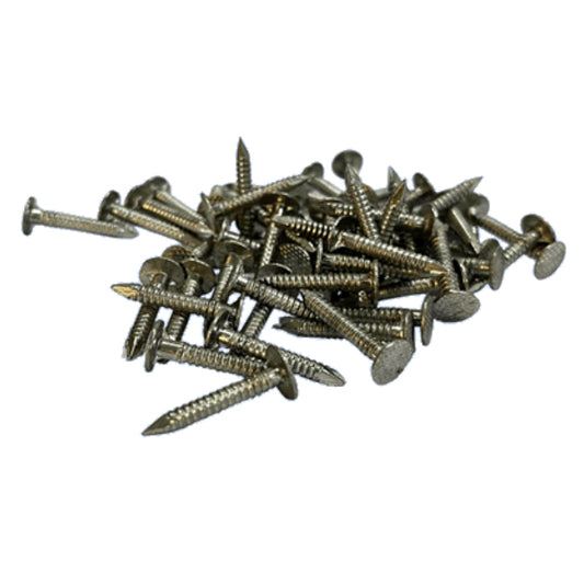 Stainless Steel Annular Ring Shank 25mm Nails